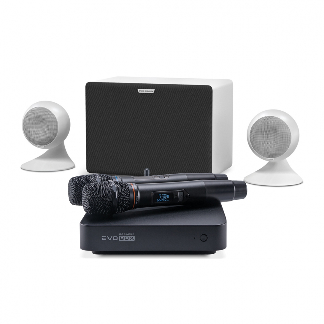 караоке-комплект EVOBOX Classic + EvoSound Sphere 2.1 в Южноуральске
