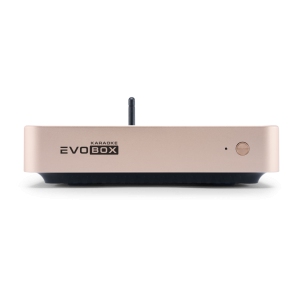 EVOBOX Classic караоке-система для дома в Южноуральске