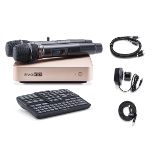 EVOBOX Classic караоке-система для дома в Южноуральске