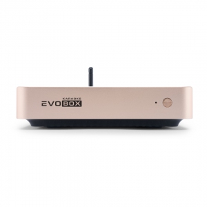 EVOBOX Plus караоке-система для дома в Южноуральске