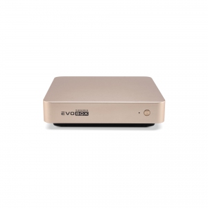 EVOBOX с микрофонами в Южноуральске